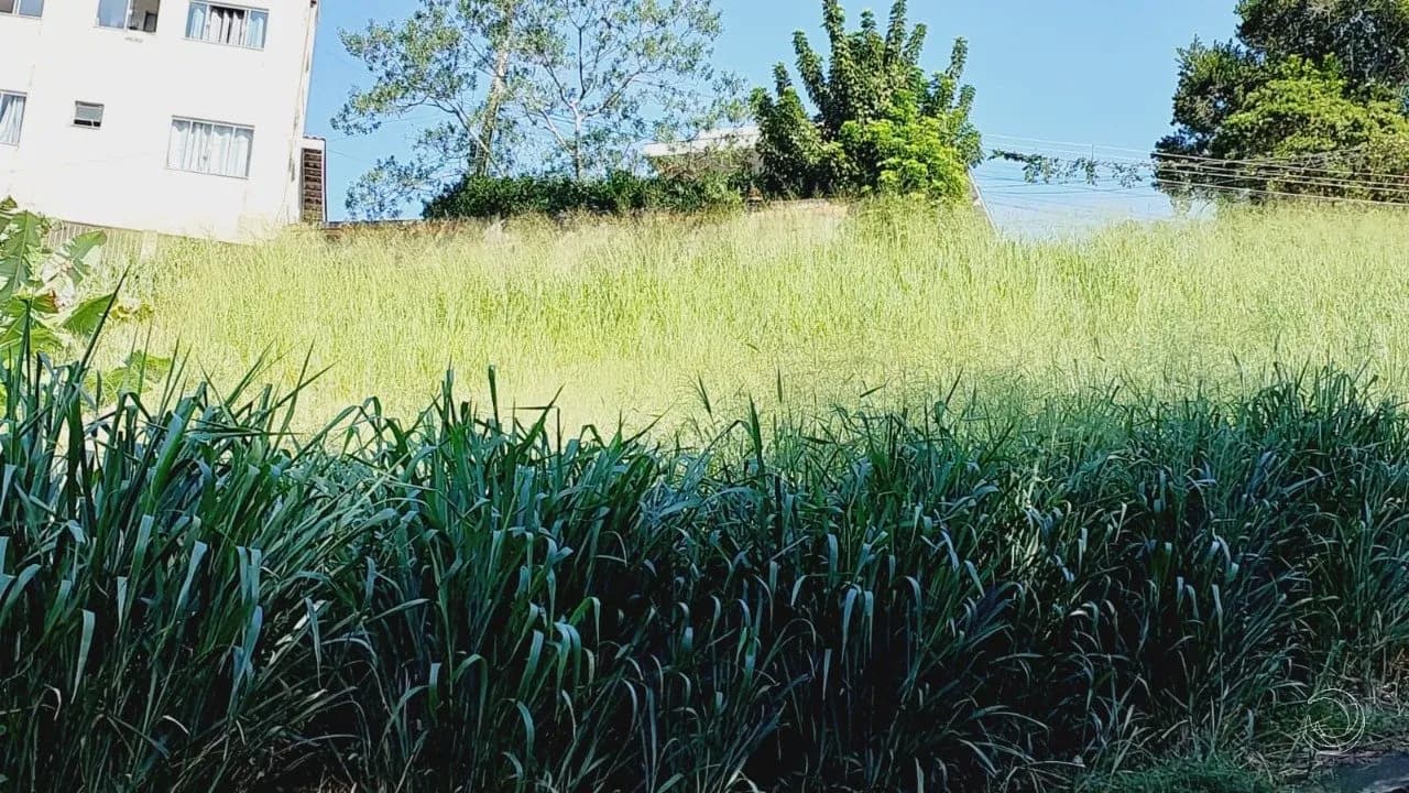 Terreno para venda em Trindade com 649 m² — foto 4