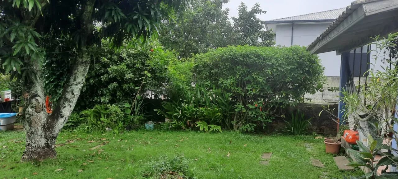 Terreno para venda em Campeche com 460 m²