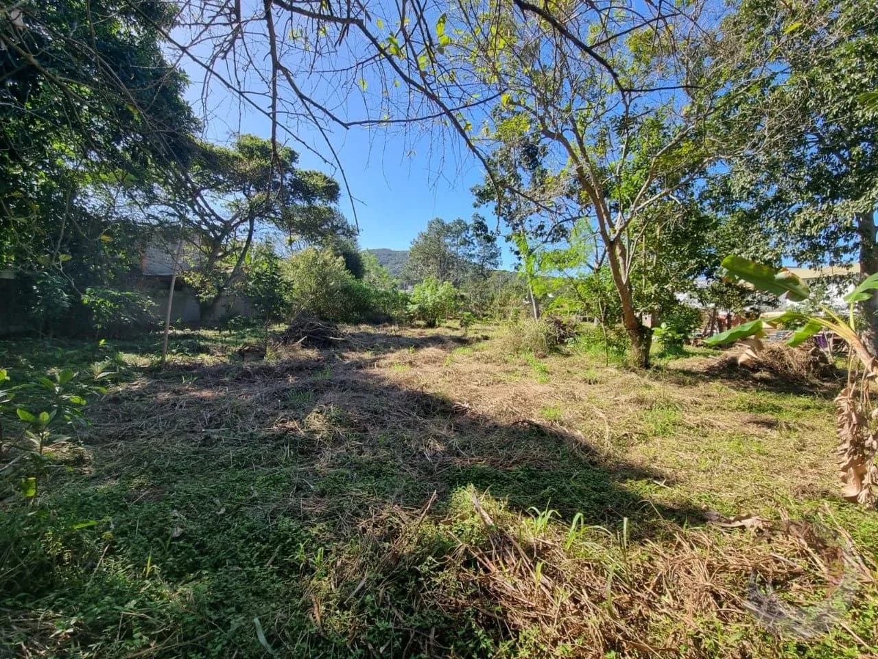 Terreno para venda em Campeche com 4122 m² — foto 2
