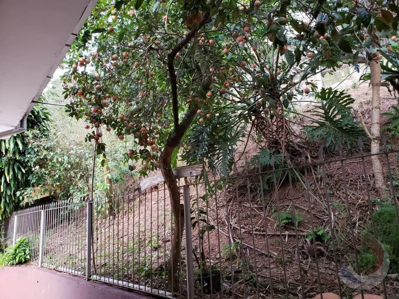 Casa para venda com 3 dormitórios em Jose Mendes com 300 m² — foto 4
