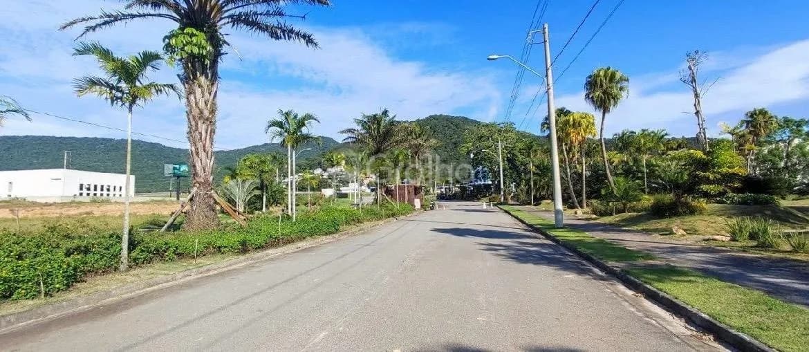 Terreno para venda em Vargem Do Bom Jesus com 459 m² — foto 4
