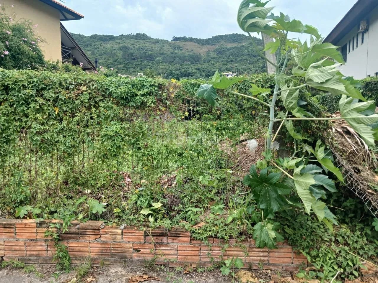 Terreno para venda em Praia Brava com 605 m² — foto 4