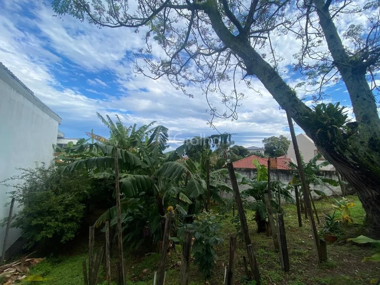 Terreno para venda em Bom Abrigo com 329 m²