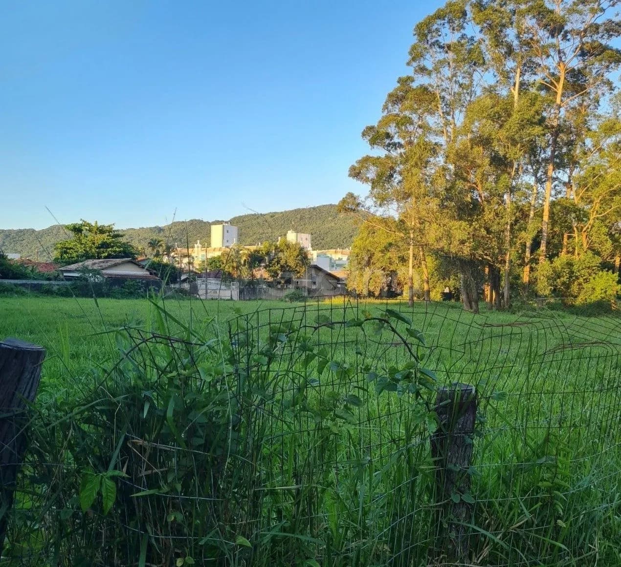 Terreno para venda em Cachoeira Do Bom Jesus com 7751 m²