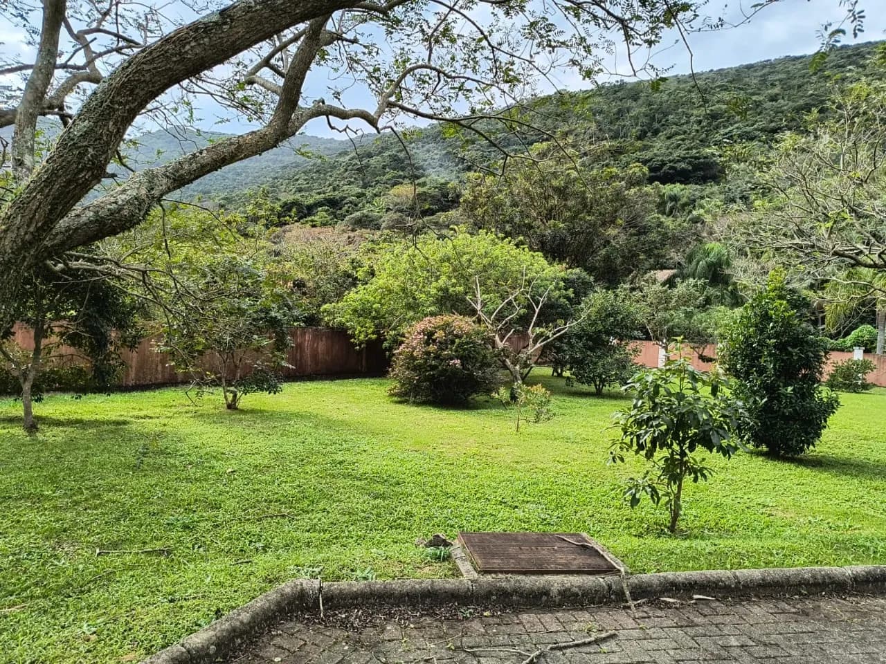Terreno para venda em Pântano Do Sul com 403 m² — foto 2