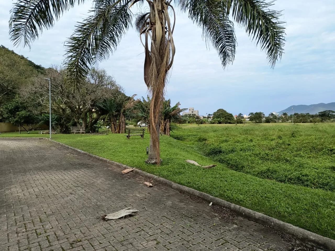 Terreno para venda em Pântano Do Sul com 403 m² — foto 4