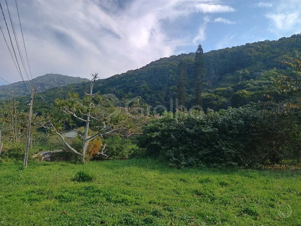 Terreno para venda em Praia Brava com 39707 m²