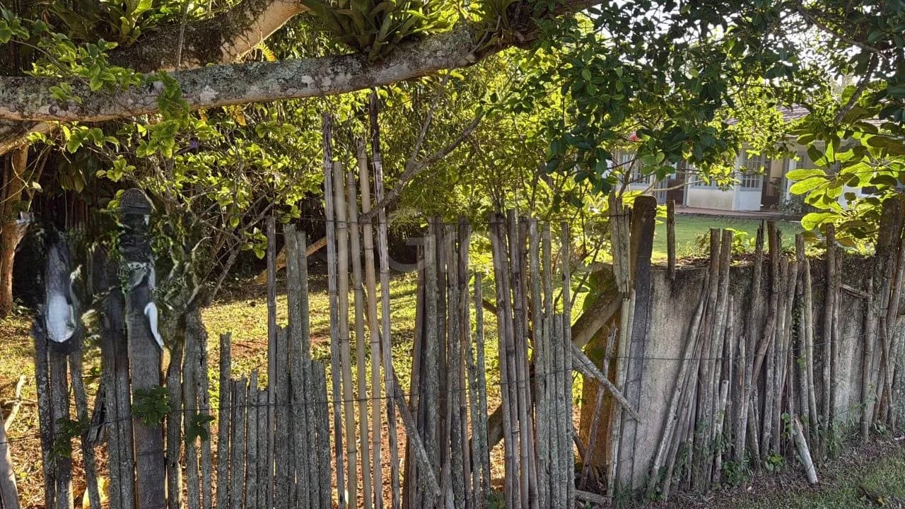 Terreno para venda em Ponta Das Canas com 775 m² — foto 3