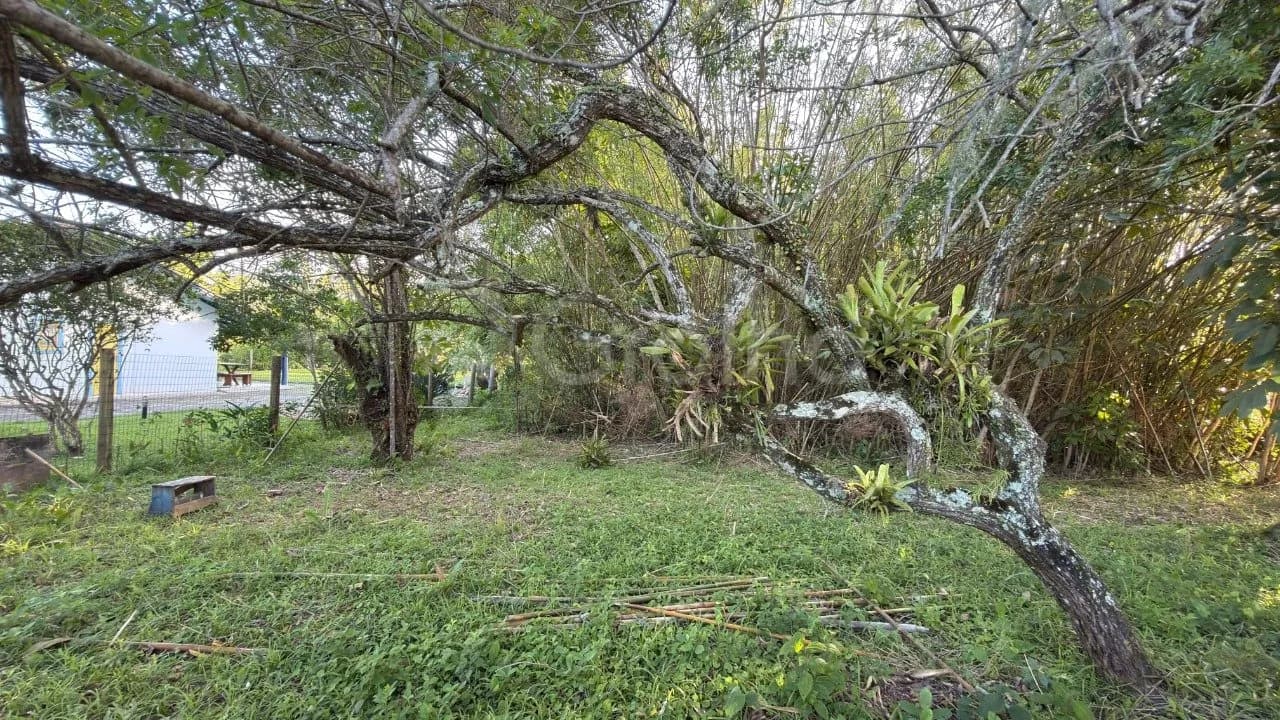 Terreno para venda em Ponta Das Canas com 775 m² — foto 4