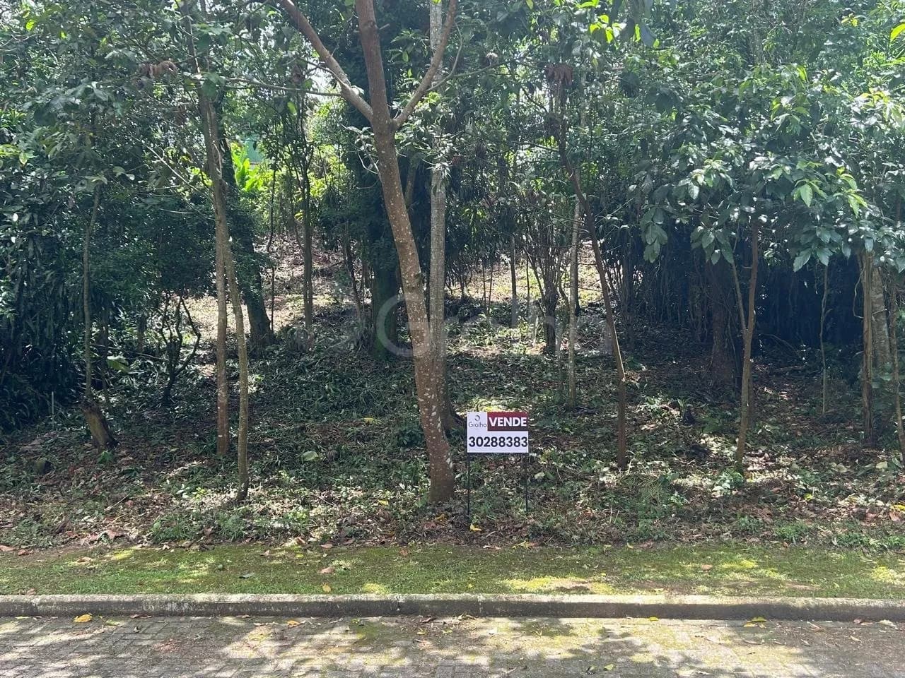 Terreno para venda em Rio Tavares com 400 m² — foto principal