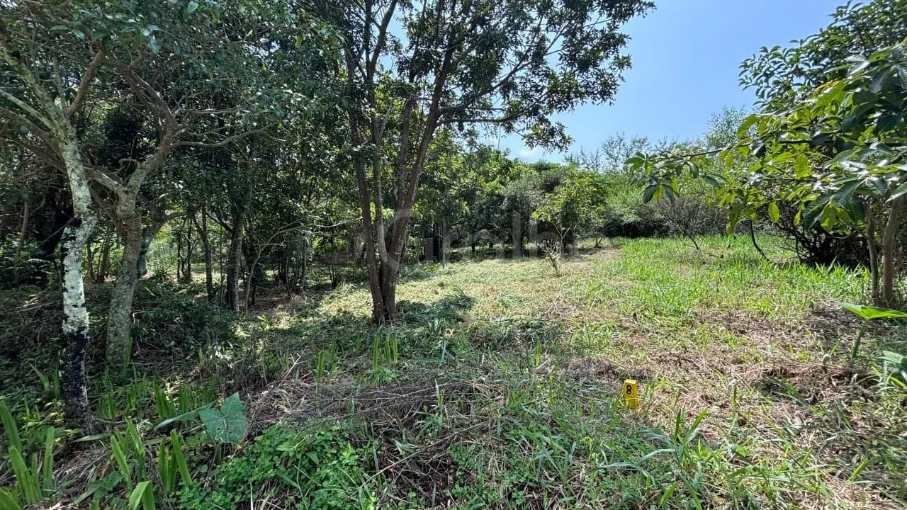 Terreno para venda em Açores com 391 m² — foto principal