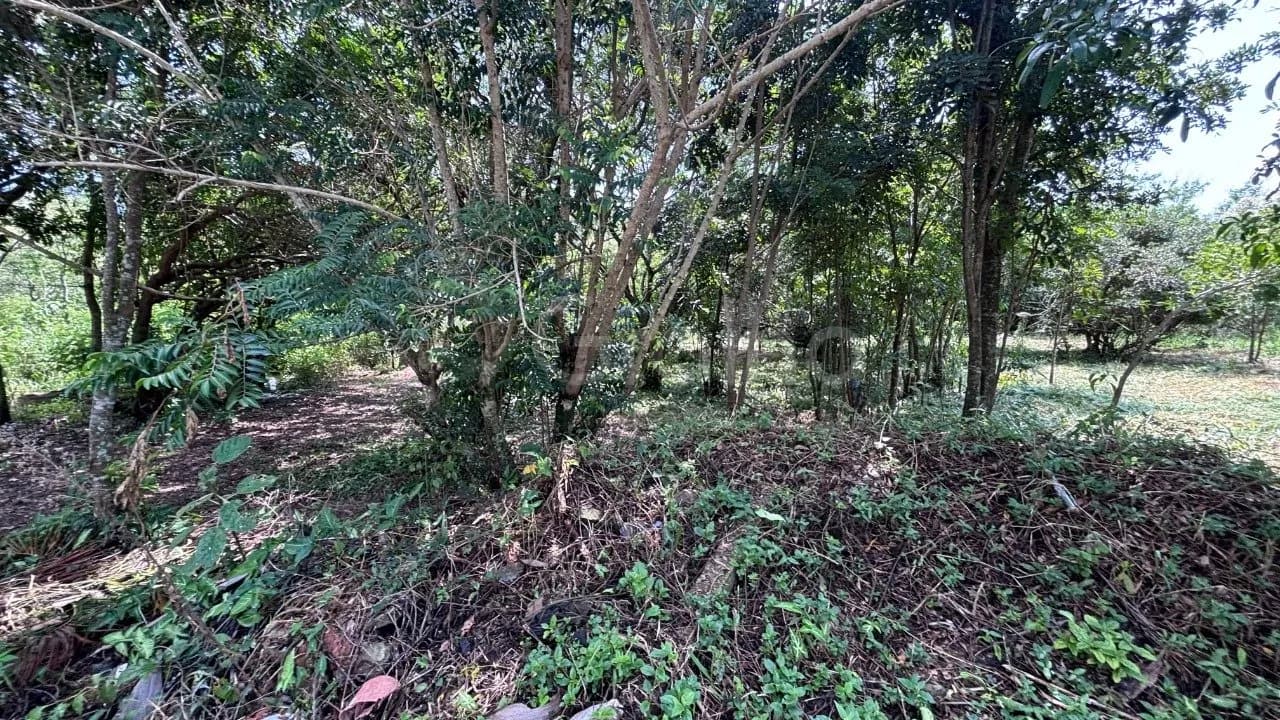 Terreno para venda em Açores com 391 m² — foto 3