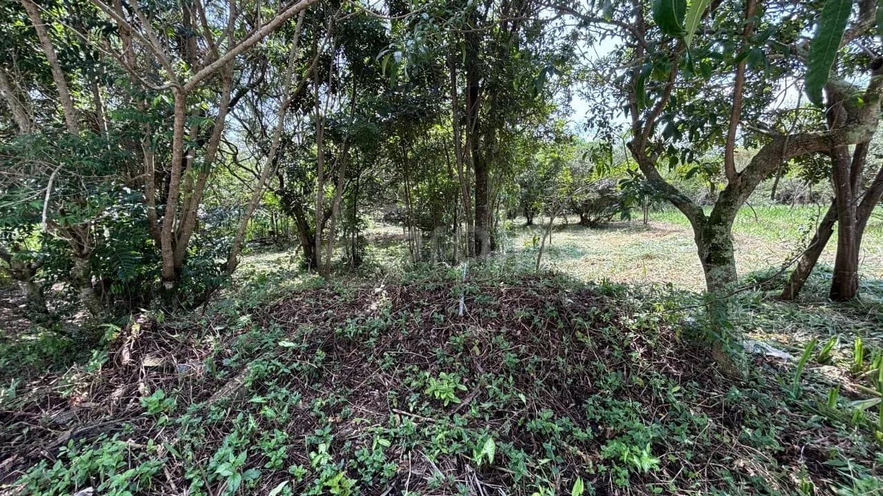 Terreno para venda em Açores com 387 m² — foto 2