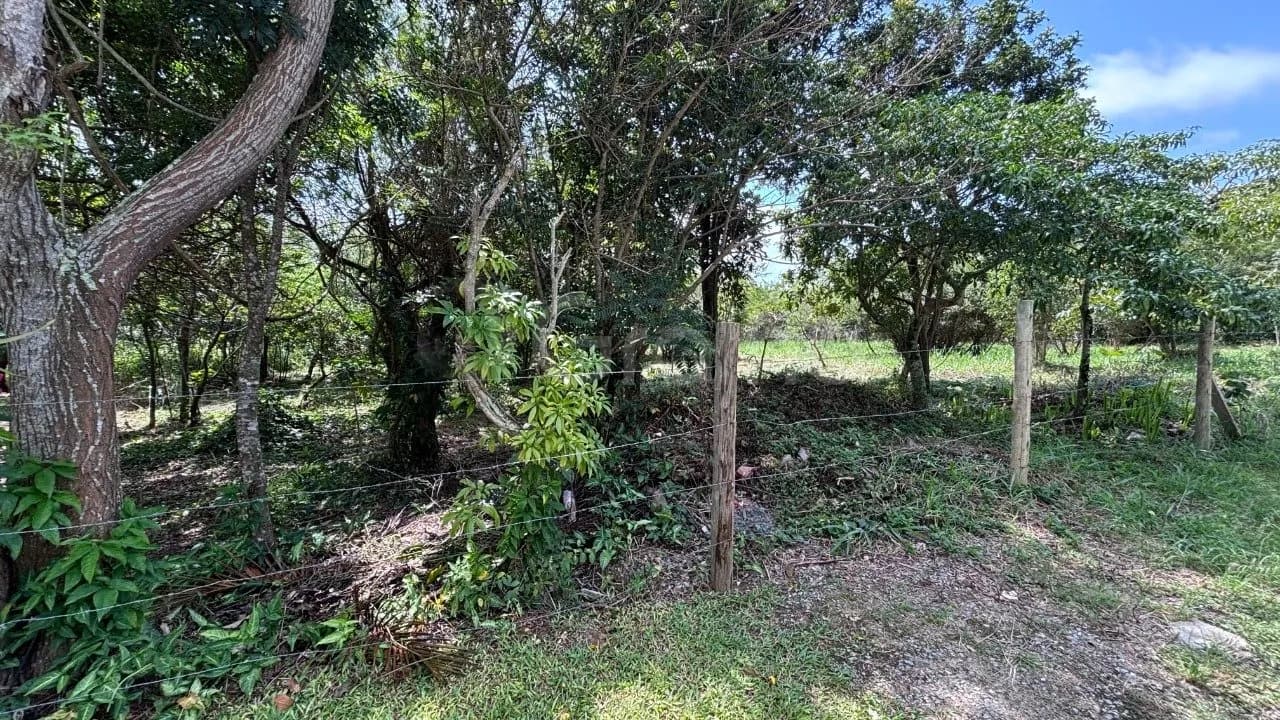Terreno para venda em Açores com 387 m² — foto 4