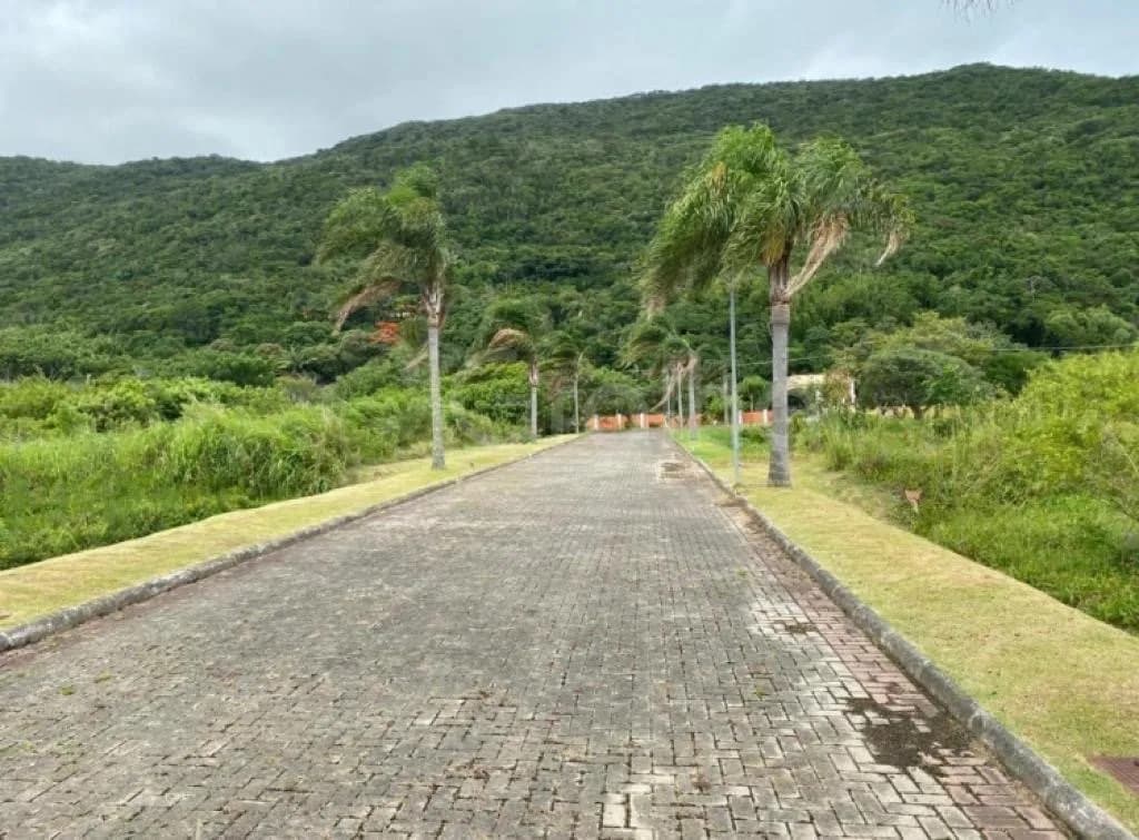 para venda em Pântano Do Sul com 375 m² — foto 3
